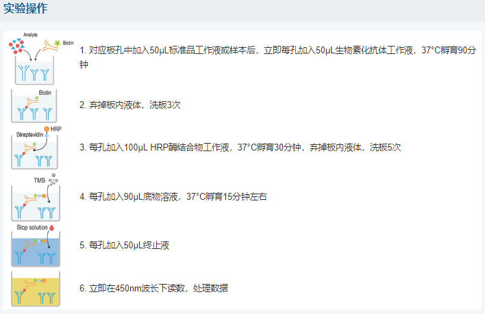 人視黃醇結合蛋白4(RBP4)酶聯(lián)免疫吸附測定試劑盒圖6