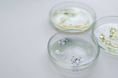 細(xì)菌總蛋白提取試劑盒圖1 細(xì)菌總蛋白提取試劑盒圖1