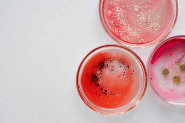 膽紅素(Bb)酶聯(lián)免疫elisa試劑盒 膽紅素(Bb)酶聯(lián)免疫elisa試劑盒
